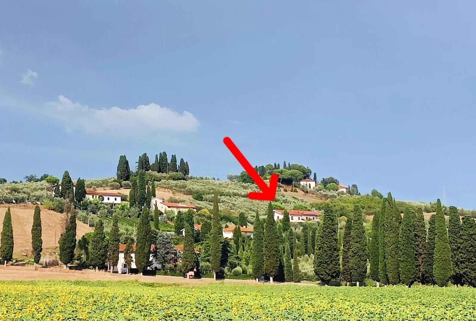 Appartamento Casa La Buriana Vinci Italia